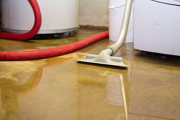 Best Water damage restoration experts  in USA